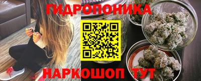 гидра Наро-Фоминск