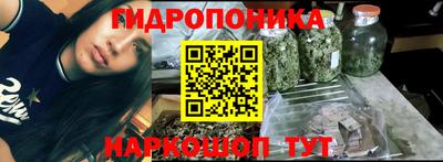 шишки Нарткала