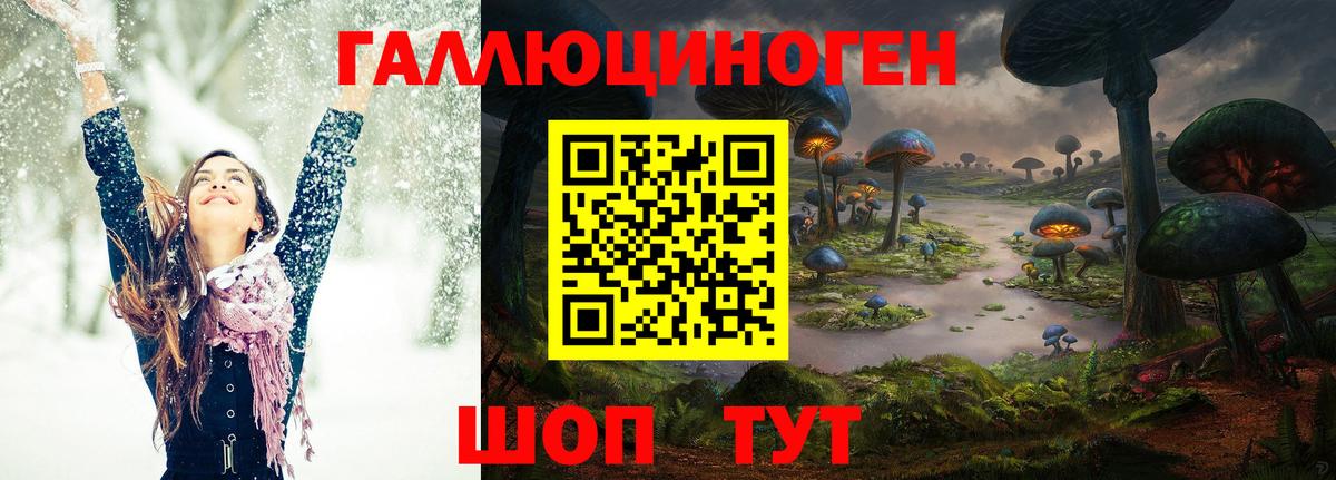 Псилоцибиновые грибы Psilocybe  Галлюциногенные грибы Psilocybe  как найти закладки  Туапсе  Вход с VPN 